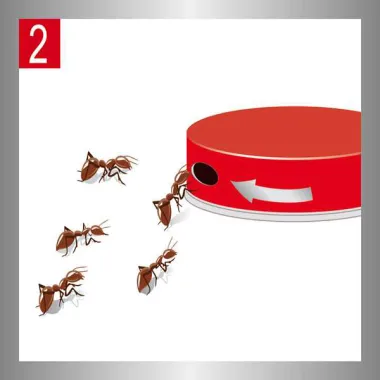 Органічна приманка від мурах Ameisen купити недорого || Metelka.com.ua