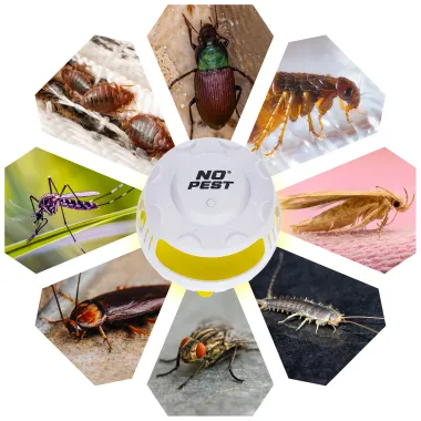 Пастка для бліх, клопів, комах No Pest Insect Catcher біла